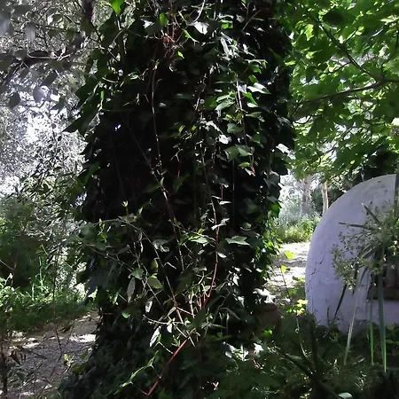 Country house Casa Montecote Eco