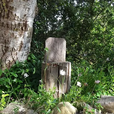 Casa Montecote Eco